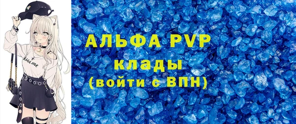 СК Белокуриха