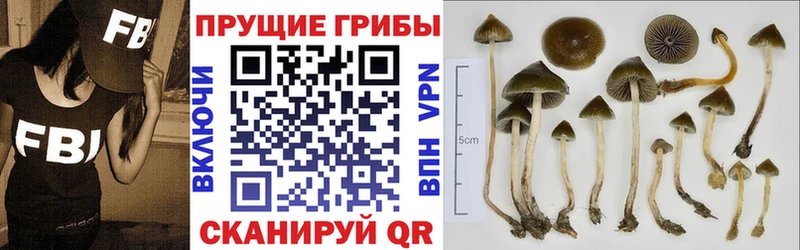 Галлюциногенные грибы мицелий  Бородино 